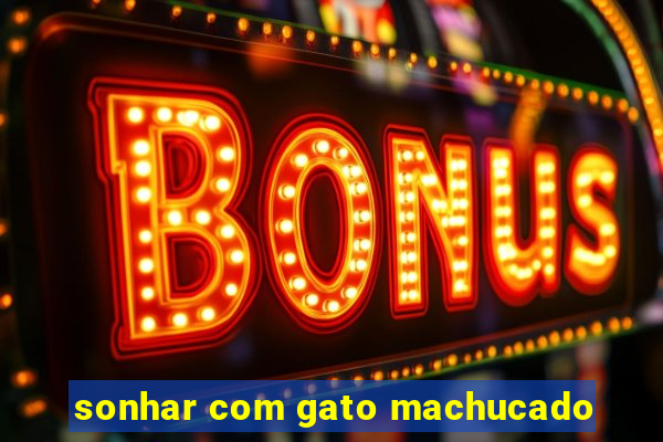 sonhar com gato machucado